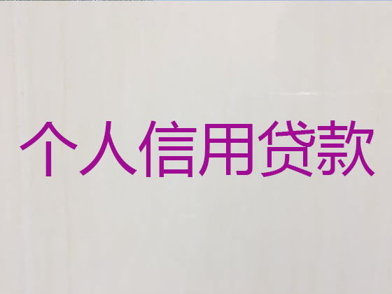 资阳正规贷款公司